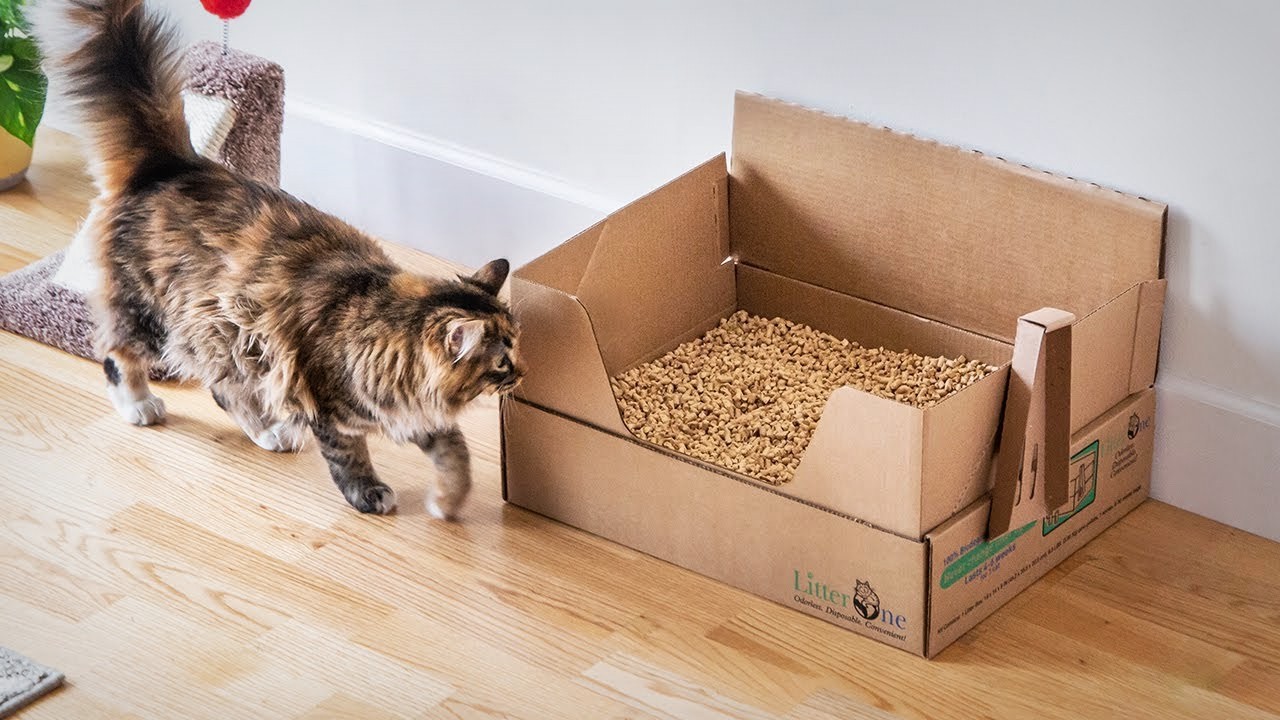 Poubelle pour déchets de litière de chat : Litter Champ