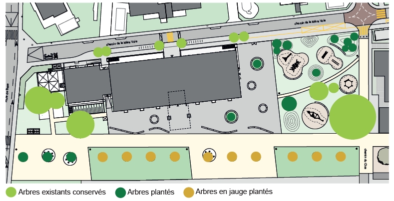 Remplacement D Arbres Sur Le Mail 2000 Plan Les Ouates