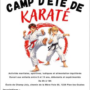 Karaté Karaté