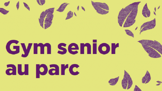Gym senior 2019