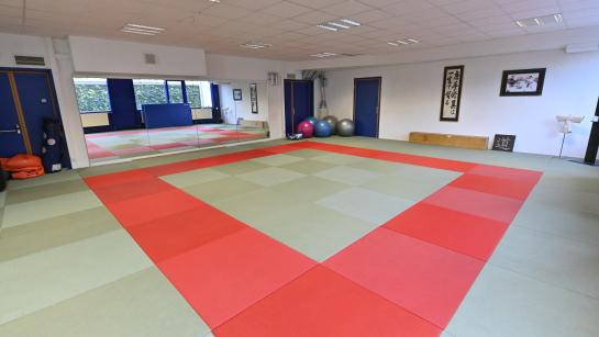 Dojo Kabuto