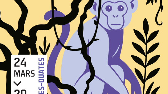 bandeau la cour des contes 2025